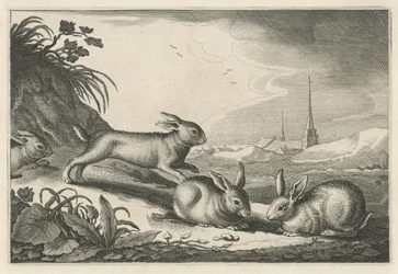 Paisagem de dunas com coelhos Diversa Animalia Quadrupedia (título da série)