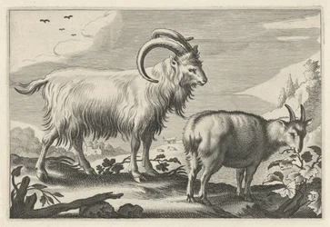 Paisagem montanhosa com duas cabras Diversa Animalia Quadrupedia (título da série)