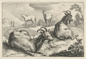 Paisagem com duas cabras e dois cavalos Diversa Animalia Quadrupedia (título da série)