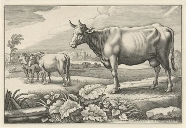Pasto com vacas Diversa Animalia Quadrupedia (título da série)