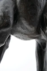 Grande girafa com cabeça abaixada, modelado em 1909-10, fundido antes de 1913 (bronze) (ver também 3084917-43)