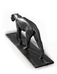 Leopardo andando