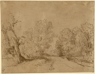 Uma estrada arborizada