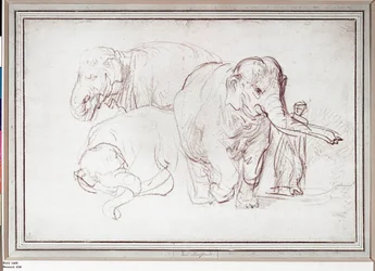 Três elefantes. Desenho a lápis (desenho)