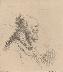 Velho careca com barba curta no perfil, c. 1635.