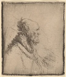 Velho careca com barba curta no perfil, c. 1635.