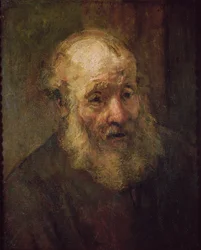 Cabeça de um homem velho, c.1650