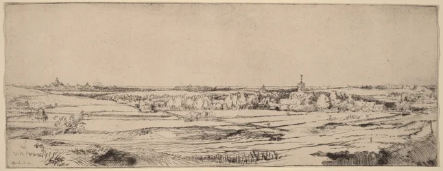 Paisagem com vista para Haarlem (O Campo do Pesador de Ouro)