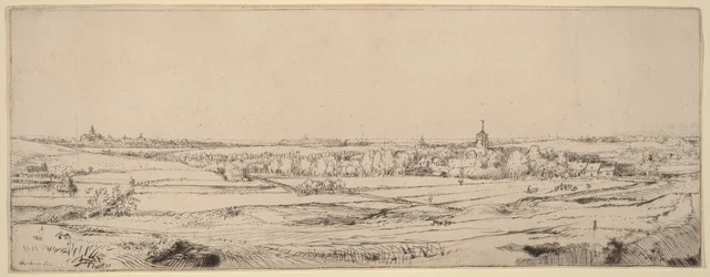 Paisagem com vista para Haarlem (O Campo do Pesador de Ouro)
