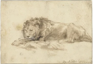 Leão deitado (Liggend leeuw). 1650-59