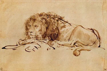 Leão descansando (caneta e tinta no papel)