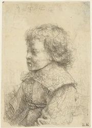 Retrato de um Rapaz