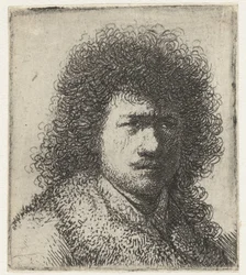 Auto-retrato com cabelo volumoso: busto