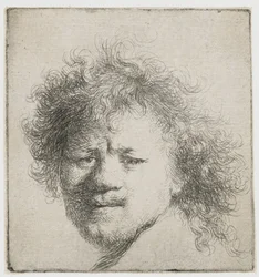 Auto-retrato com cabelo comprido e peludo: apenas cabeça