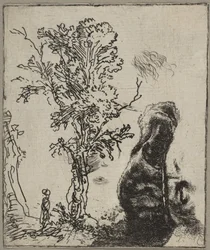 Folha com dois estudos: uma árvore e a parte superior de uma cabeça de Rembrandt usando um vel ..., ca. 1642