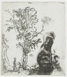 Folha de estudo com uma árvore e a parte superior da cabeça de Rembrandt com um quepe
