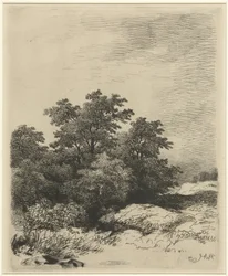 Paisagem com árvores
