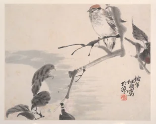 Animais, flores e pássaros, século XIX.