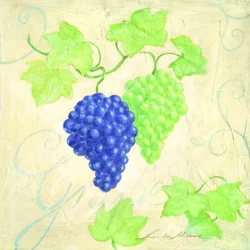 Uvas frescas azuis e verdes