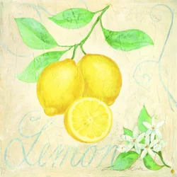 Limões Frescos - Imagem botânica