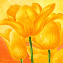 Tulipas amarelas e radiantes