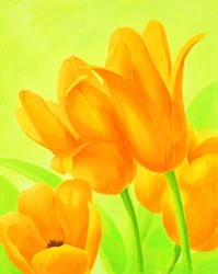 Tulipas de cor laranja vibrante