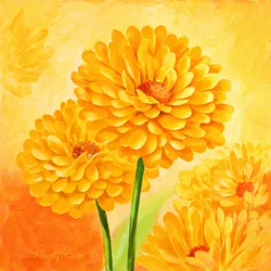 Flores amarelas vibrantes