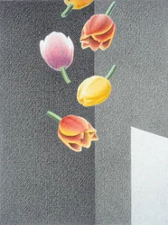 Tulipas