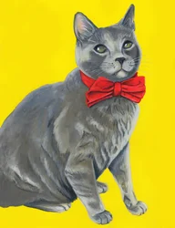 Gato cinzento com gravata borboleta vermelha