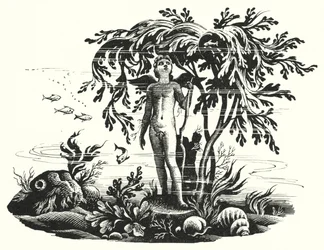 Hans Christian Andersen: A Pequena Sereia (litho)