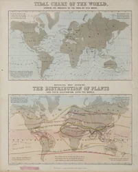 Um mapa de maré e um mapa da distribuição de plantas pelo mundo, c 1850