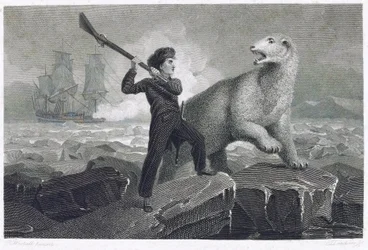 O jovem Horatio Nelson (1758-1805), quando participava numa expedição ao Pólo Norte em 1773, lutou com um urso polar no gelo, enquanto a sua arma estava encravada, tentou repeli-lo dando-lhe um murro com o rabo, porque queria dar uma coa ao seu pai