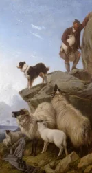 R.Ansdell, O Carneiro Perdido - Pintura, 1868