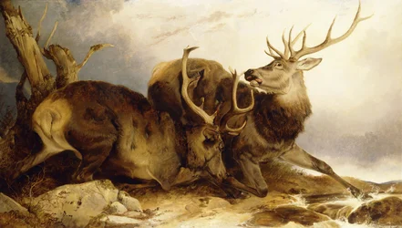 O Combate, 1847