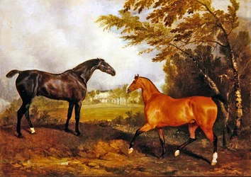 Cena Equestre (óleo sobre tela)