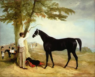 O cavalo de batalha de Thomas Cosby «Black Prince», com os soldados da Guarda Real ao fundo