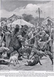 Isca de urso na época dos saxões, da "História da nação britânica" de Hutchison, c.1920