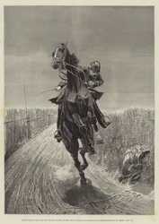 Maruja, de Bret Harte