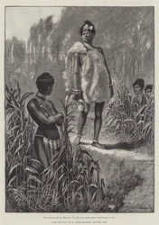 Nada o lírio, por H Rider Haggard