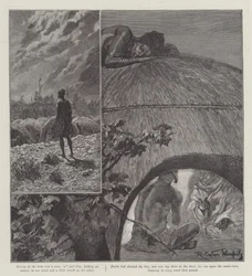 Nada o lírio, por H Rider Haggard