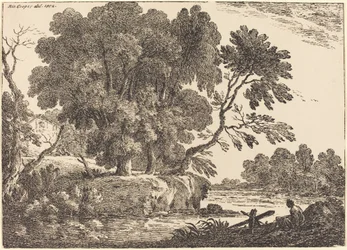 Paisagem com grupo de árvores cercadas por água