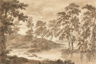 Paisagem da floresta