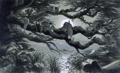 Taxas, ninfas e elfos são reposant au clair de lune sur une branche? Ilustração de "Na terra das fadas". Uma série de fotografias do elfo - mundo" par Richard Doyle 1869-1870 The British Library Institution Reference: Identificação da marca de prateleira: 