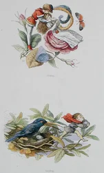 Flirting, e Roubo, ilustrações de 