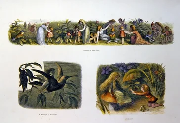 Em Terra de Fadas