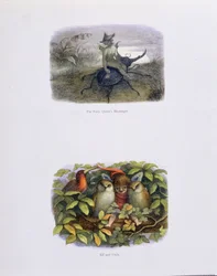 O Mensageiro da Rainha das Fadas, e Elf e Corujas, ilustrações de &39;In Fairyland: Uma Série de Imagens do Mundo Élfico&39; de William Allingham e Andrew Lang