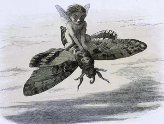 Un elfe chevauchant un papillon. Ilustração de Richard Doyle tiree de "" Na terra das fadas. Uma série de fotos do mundo dos elfos"" acompagnee d