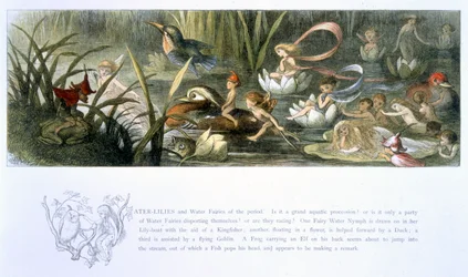Water-lírios e fadas de água, ilustração de &39;em Fairyland: uma série de imagens do mundo-elfo&39; por William Allingham e Andrew Lang