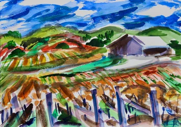 Napa no Outono, 2017