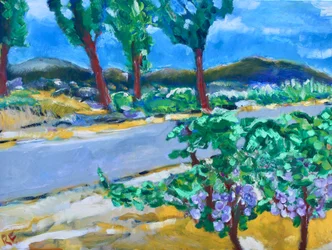 Roadside Vineyard, Napa, 2017